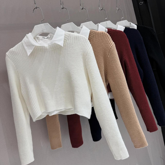 Sweater + camisa